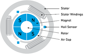 Motor with Hall Sensors